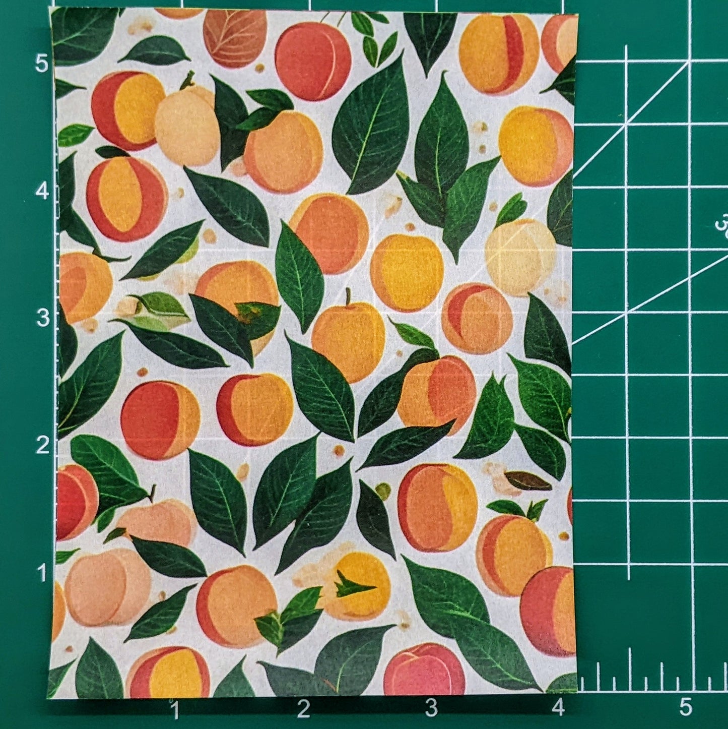 Peaches & Leaves Water-Soluble Transfer Sheet