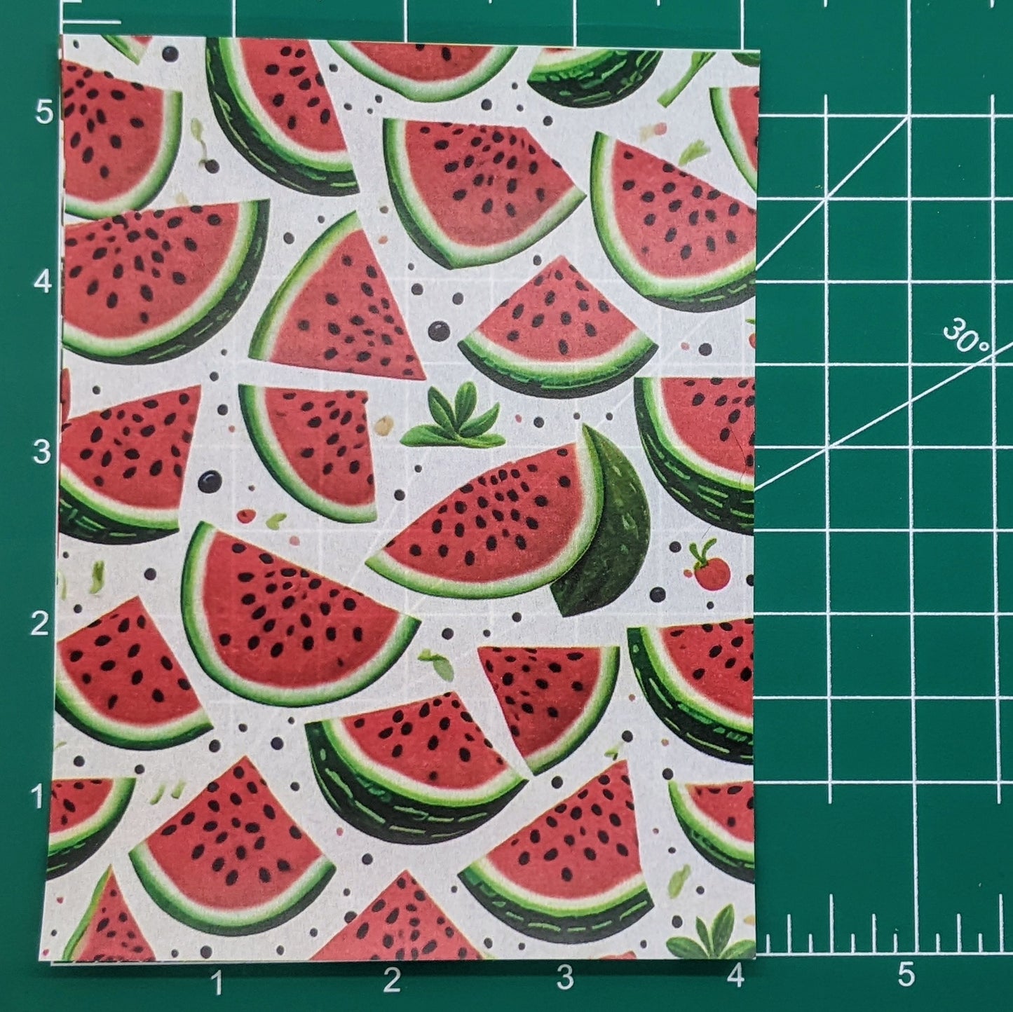 Watermelon Slices & Seeds Water-Soluble Transfer Sheet